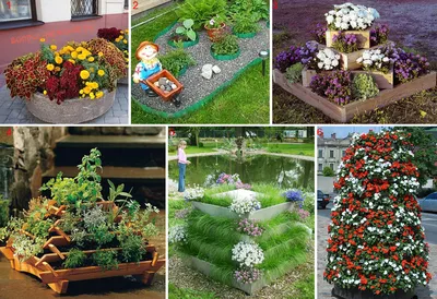 Красивые клумбы из многолетних цветов: 84 фото, готовые схемы | ivd.ru