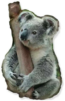 Наклейка-стикер животное коала на деревья природа листья растения 5 см  купить по выгодной цене в интернет-магазине OZON (652563022)