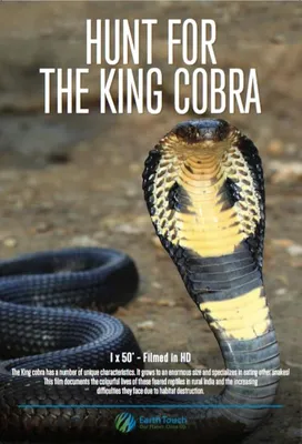 Kaijuverse: King Cobra by AcroSauroTaurus on DeviantArt