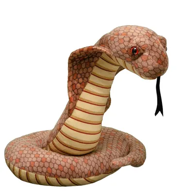 King Cobra | Snake photos, Snake, Indian cobra