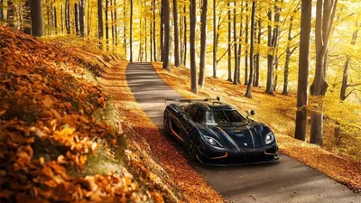 Скачать 1920x1080 koenigsegg, agera, rs, вид сбоку, осень, деревья обои,  картинки