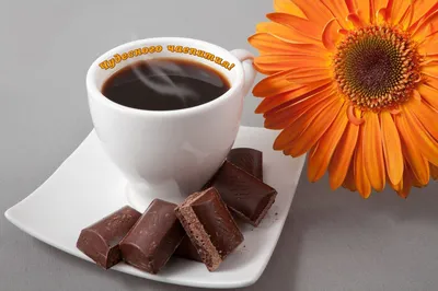 Dark Chocolate Coffee Recipe: How to Make Dark Chocolate Coffee At Home |  Homemade Dark Chocolate Coffee Recipe