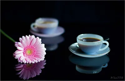 Фото жизнь - Elena_P - корневой каталог - Кофе для двоих