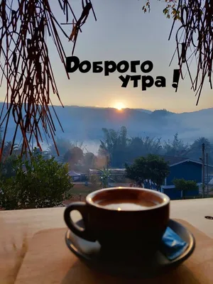 Картинка - Солнечный рассвет с кофе (С добрым утром) скачать