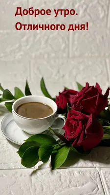 Сторис с добрым утром для подписчиков в Инстаграм с приятными пожеланиями и  чашкой кофе | Flyvi