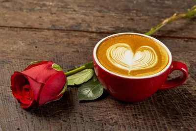 Картинка Сердце Розы Капучино Цветы Чашка сердечко | Чайные напитки, Кофе,  Фотографии кофе