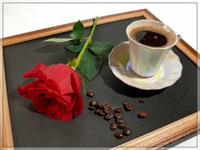 Пин от пользователя Tanya K на доске All things coffee | Кофе, Искусство  приготовления кофе, Фотографии кофе