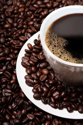 утренний кофе, чашка кофе, кофе руки, кофе, чашка кофе в руке