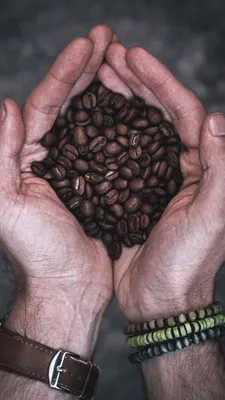 кофе, чашка кофе, кофе в руках, мужчина держит чашку кофе, чашка кофе в  руках, Свадебный фотограф Москва