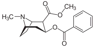 Кокаин — Википедия