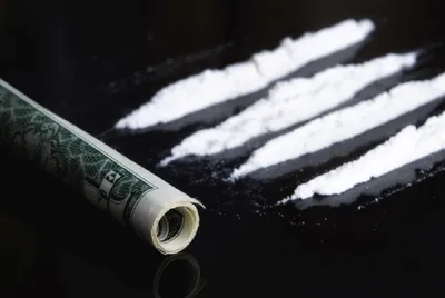 Кокаин: снижение вреда, дозировка, фармакология, история и законы |  Legalize Belarus