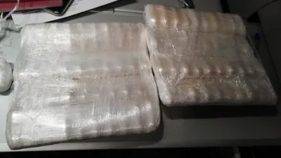 В порту Мууга обнаружили почти 100 кг кокаина - Delfi RUS