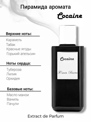 BRAND Perfume Cokaine / Кокаин Духи-масло 6 мл - купить с доставкой по  выгодным ценам в интернет-магазине OZON (259276873)