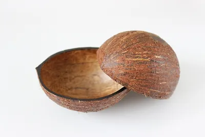 Купить Урбеч из кокоса (180г) - интернет-магазин WellFoods