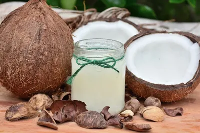 В чем польза кокоса? | Золотая лягушка | Дзен