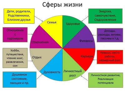 Как запустить колесо жизненного баланса на карантине / Новости города /  Сайт Москвы