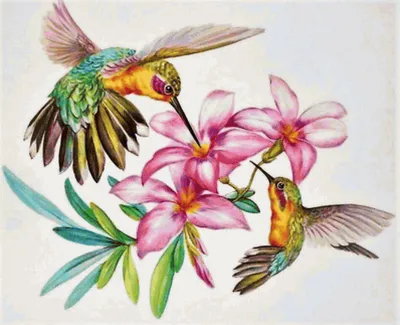 Рисунок красками: разноцветныая колибри…» — создано в Шедевруме