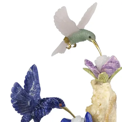 Скачать обои цветок, крылья, птица, колибри, жимолость разрешение 1600x900  #119824