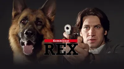 Комиссар Рекс / Kommissar Rex Opening Titles - YouTube