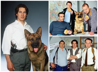 Комиссар Рекс» — ностальгический сериал о псе-полицейском