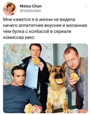 Как сейчас выглядят и чем занимаются 3 главных актёра из сериала “Комиссар  Рекс” | КИНОPRO. Кино наизнанку и не только... | Дзен