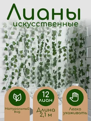 Купить цветы для офиса Искусственное растение Фикус Бенджамина Лиана,  высота - 210 см в магазине ARTPLANTS с доставкой по Москве