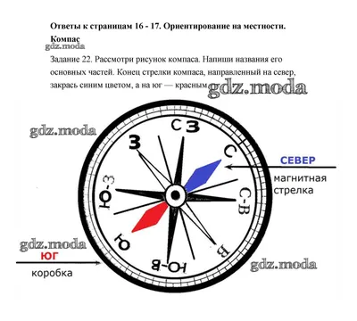 Купить компас армейский Levenhuk Army AC10 - интернет-магазин Levenhuk