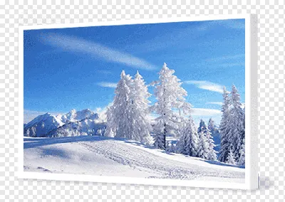 обои : Белое, небо, Зима, филиал, Синий, мороз, цвести, Снежинки, Блеск,  Замораживание, Снежинка, Ветка, Обои для рабочего стола компьютера,  Макросъемка 1920x1200 - CoolWallpapers - 774946 - красивые картинки -  WallHere
