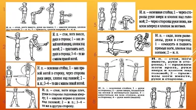 Комплекс общеразвивающих упражнений с хлопками для детей 1 - 2 классов -  презентация онлайн