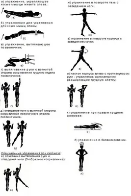 Администрация Липецкого муниципального района Липецкой области -  Официальный сайт администрации Липецкого муниципального района