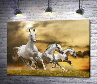 Табун коней (ID#1927388680), цена: 245 ₴, купить на Prom.ua
