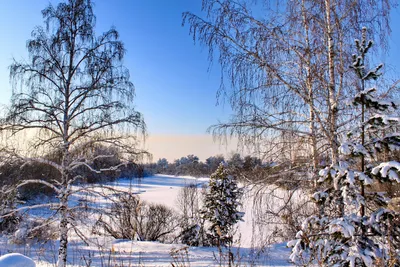 Сочинение по картине «Конец зимы. Полдень» (К.Ф.Юон) (5 вариантов) |  Школьные сочинения | Дзен