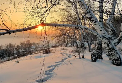 Картинки конец зимы, лес, снег, домики, солнце, марина мурашова - обои  1280x800, картинка №213042