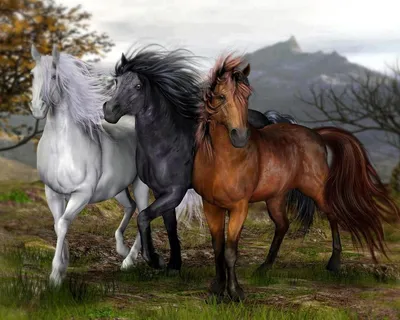 кони на лугу стоковое фото. изображение насчитывающей поле - 220214652