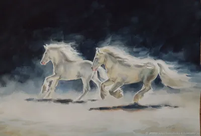 Раскраска Дикие кони распечатать или скачать