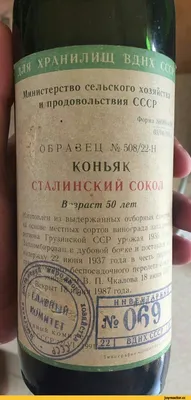 Выбор недели: вино Campirosa, Dino Illuminati и коньяк Rare Fine Champagne  VSOP