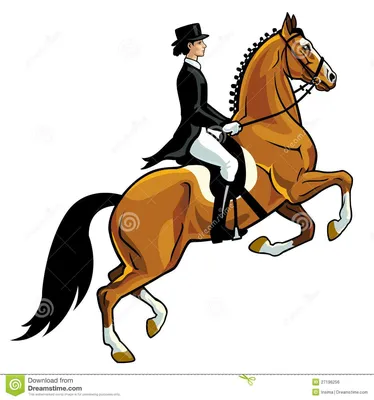 плакат конный спорт: 13 тыс изображений найдено в Яндекс.Картинках | Horse  rider, Dressage, Show jumping horses