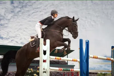 Сколько нужно денег, чтобы заниматься конным спортом? – erelki.ru