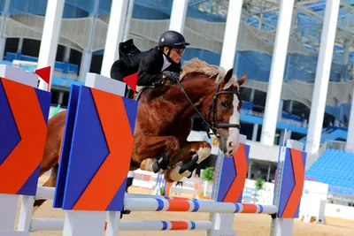 Статьи, Почему же конный спорт - это все-таки спорт | Prokoni.ru