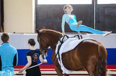 Конный спорт - Федерация конного спорта Нижегородской области