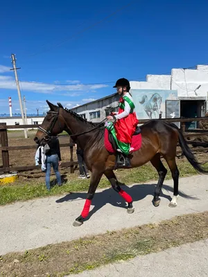 Зов призов: как и почему возрождается конный спорт в Казахстане |  informburo.kz