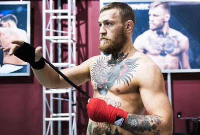 Конор Макгрегор располнел до неузнаваемости: что случилось с телом бойца  UFC - Чемпионат