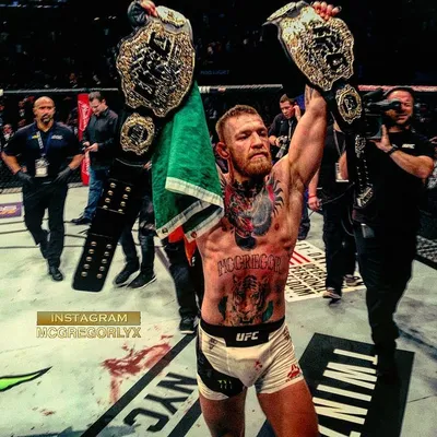 Конор выложил фото с чемпионским поясом WWE: «Это неизбежно» - Бокс/MMA/UFC  - Sports.ru