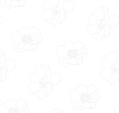 Штриховая графика Рисунок, Контур цветка, белый, лист, филиал png | PNGWing