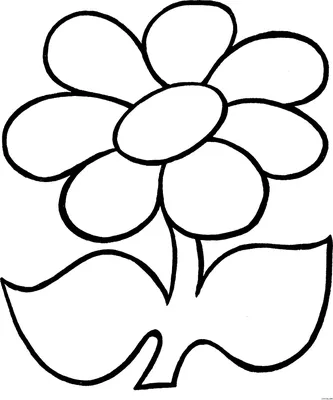 черный контур цветка лилии на белом фоне, для раскрашивания Stock Vector |  Adobe Stock