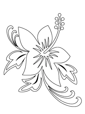 эстетические чертежи природы цветочный контур с вектором цветка с  акварелью. Иллюстрация вектора - иллюстрации насчитывающей воздушной,  пастельно: 242319848
