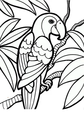 контур линейной иллюстрации для раскрашивания книги с райской птицей в  цветах. антимотационная картина тропического попугая. конст Иллюстрация  вектора - иллюстрации насчитывающей декор, черный: 232372091
