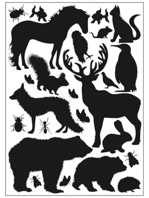 силуэты животных иллюстрация вектора. иллюстрации насчитывающей собрание -  23874290