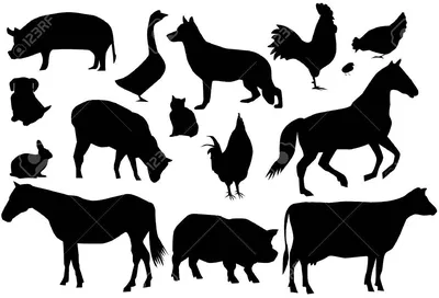 Силуэт животных PNG , животное, живая природа, Силуэт PNG картинки и пнг  рисунок для бесплатной загрузки