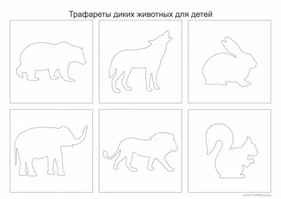 Комплект контуров, силуэты животных носорога, жирафа, E Иллюстрация вектора  - иллюстрации насчитывающей конструкция, элемент: 87021780